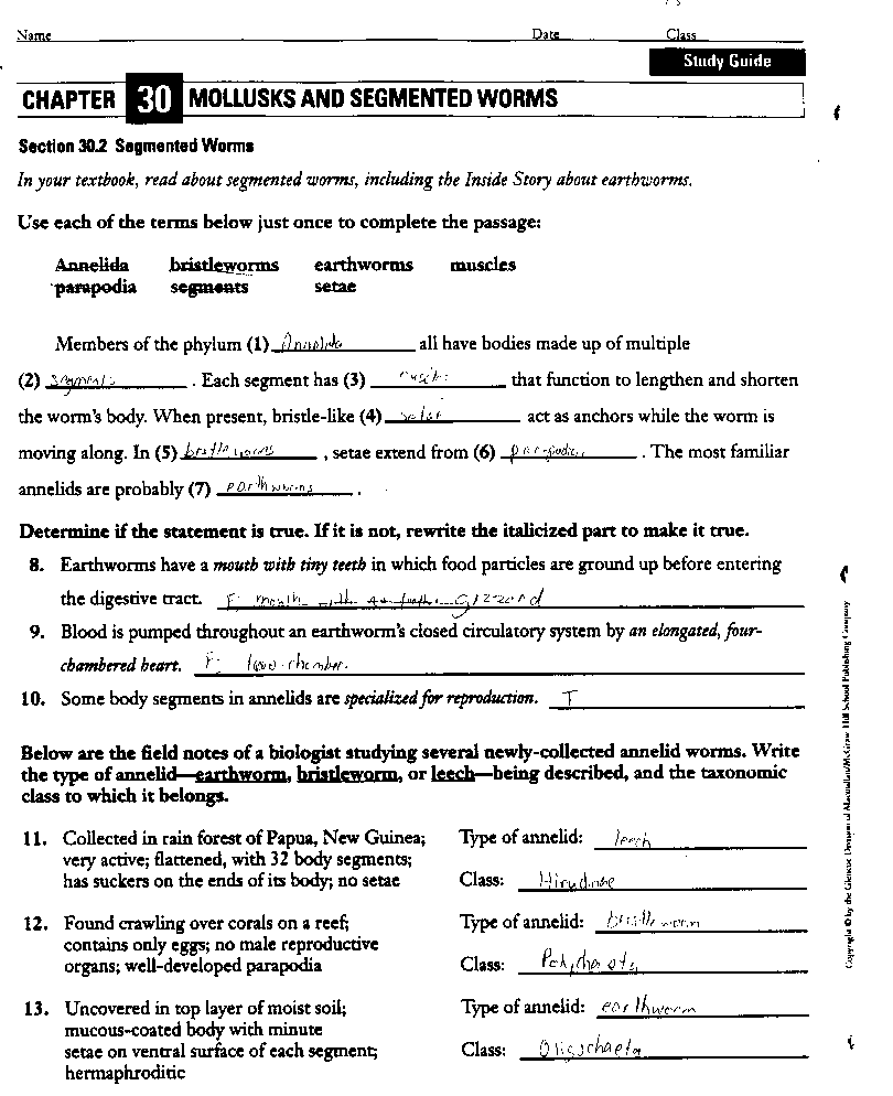 Mollusks Worksheet 1 Answer Key Escolagersonalvesgui